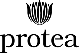 Protea-New-Logo-01