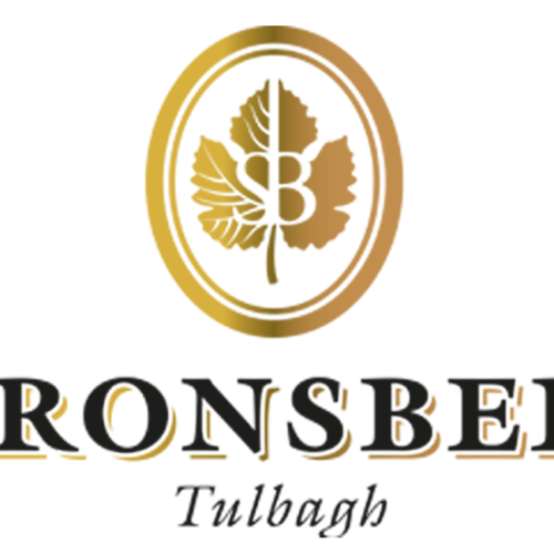 Saronsberg-Logo_231013_141153